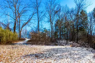 7252 Africa Rd, Galena, OH 43021 - Photo 57