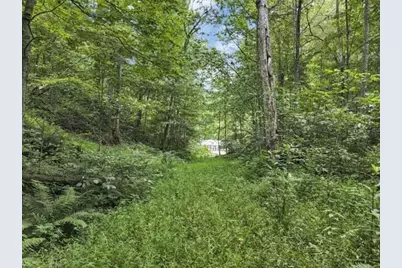23584 Conrad Road, South Bloomingville, OH 43152 - Photo 5