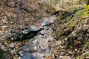 23584 Conrad Rd, South Bloomingville, OH 43152 - Photo 1