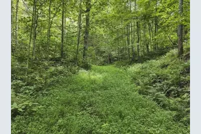 23584 Conrad Road, South Bloomingville, OH 43152 - Photo 9