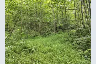23584 Conrad Road, South Bloomingville, OH 43152 - Photo 7
