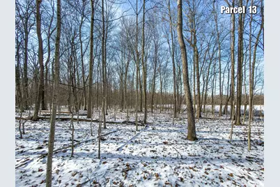 0 Hinton Mill Road, Marysville, OH 43040 - Photo 31