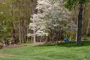 20731 State Route 664 S, South Bloomingville, OH 43152 - Photo 71