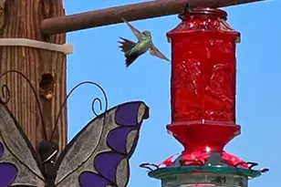 20731 State Route 664 S, South Bloomingville, OH 43152 - Photo 73