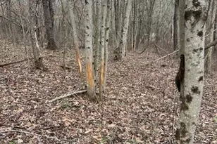 0 County Road 80, Coshocton, OH 43812 - Photo 1