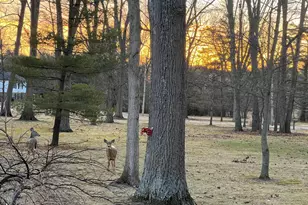 6781 Thoreau Ln NE, Baltimore, OH 43105 - Photo 9