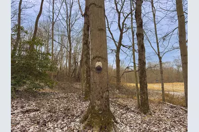 5230 Null Road, Coolville, OH 45723 - Photo 35