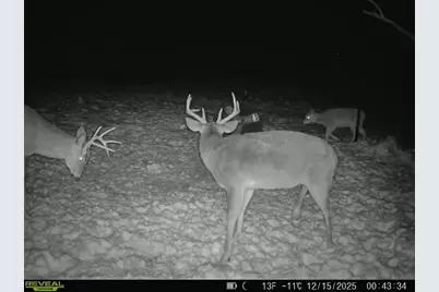 5230 Null Road, Coolville, OH 45723 - Photo 41