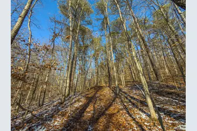 5230 Null Road, Coolville, OH 45723 - Photo 11