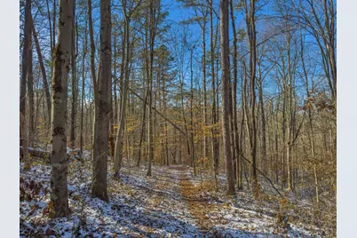 5230 Null Road, Coolville, OH 45723 - Photo 9