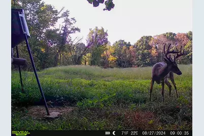 5230 Null Road, Coolville, OH 45723 - Photo 47