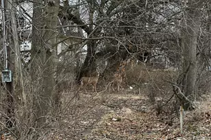 836 & 842 N Main St, Urbana, OH 43078 - Photo 19