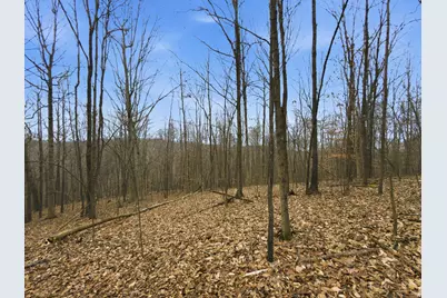 0 E Side Geer Mill Road, Vinton, OH 45686 - Photo 17