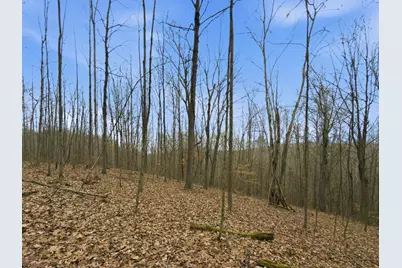 0 E Side Geer Mill Road, Vinton, OH 45686 - Photo 19