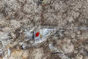 20029 Sowers Rd, Laurelville, OH 43135 - Photo 51