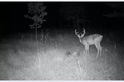 18344 Modoc Road, Glouster, OH 45732 - Photo 3