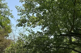 13750 Co Rd 227, Kenton, OH 43326 - Photo 21