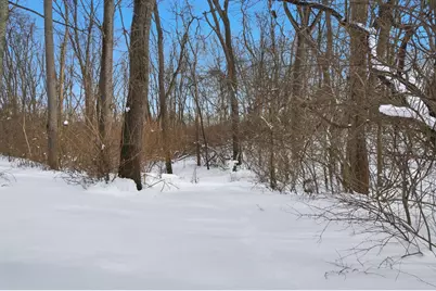 260 California Avenue, Springfield, OH 45505 - Photo 71