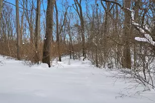 260 California Ave, Springfield, OH 45505 - Photo 71