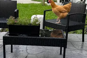 7801 Harlem Rd, Westerville, OH 43081 - Photo 57