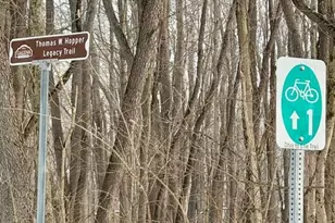 224 Honeywood Dr N, Galena, OH 43021 - Photo 49