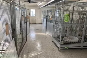 11241 Center Rd, Garrettsville, OH 44231 - Photo 43