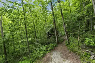 635 2 Mile Run, Cutler, OH 45724 - Photo 79
