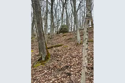 635 2 Mile Run, Cutler, OH 45724 - Photo 61