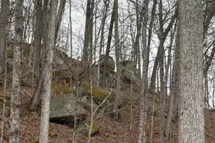 635 2 Mile Run, Cutler, OH 45724 - Photo 65