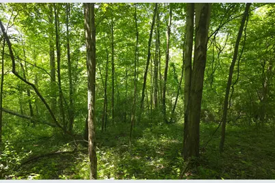 0 Dunham Road #Tract 1, Mount Vernon, OH 43050 - Photo 7