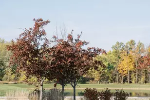 5618 Hickory Dr, Lewis Center, OH 43035 - Photo 43