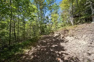 12089 Cantwell Cliffs Rd, Rockbridge, OH 43149 - Photo 5