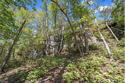 12089 Cantwell Cliffs Road, Rockbridge, OH 43149 - Photo 3