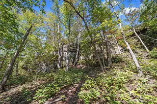 12089 Cantwell Cliffs Rd, Rockbridge, OH 43149 - Photo 3