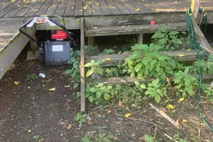 940 Lilley Ave, Columbus, OH 43206 - Photo 19