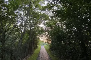 6704 Knoll View Ct, Powell, OH 43065 - Photo 121