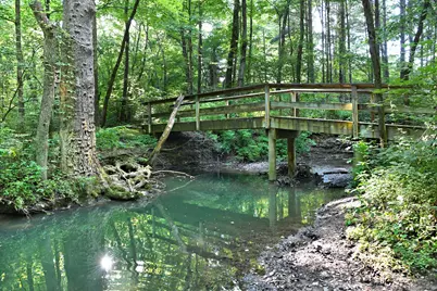 2569 Open Bay Court, Galena, OH 43021 - Photo 81