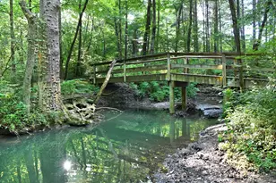 2569 Open Bay Ct, Galena, OH 43021 - Photo 81