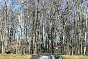 2569 Open Bay Ct, Galena, OH 43021 - Photo 79