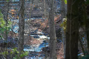 2569 Open Bay Ct, Galena, OH 43021 - Photo 71