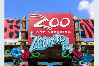 130 Barrington Place, Powell, OH 43065 - Photo 73