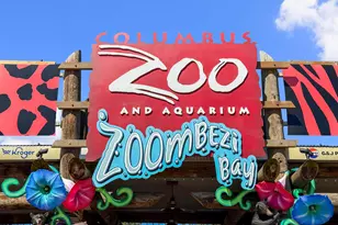 130 Barrington Pl, Powell, OH 43065 - Photo 73