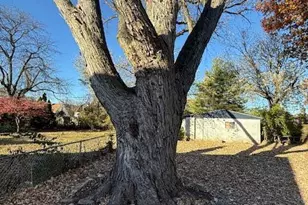 1120 Piedmont Rd, Columbus, OH 43224 - Photo 31