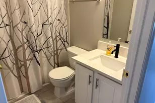 6293 Hampton Green Pl, Dublin, OH 43016 - Photo 27