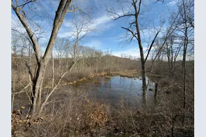 66376 Old Shurtz Road, New Plymouth, OH 45654 - Photo 35