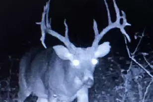 66376 Old Shurtz Rd, New Plymouth, OH 45654 - Photo 39