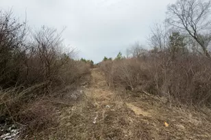 66372 Old Shurtz Rd, New Plymouth, OH 45654 - Photo 27