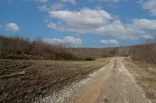 66372 Old Shurtz Rd, New Plymouth, OH 45654 - Photo 33