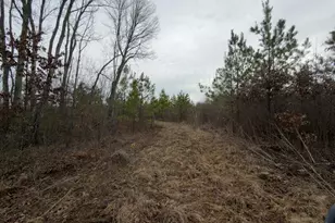 66372 Old Shurtz Rd, New Plymouth, OH 45654 - Photo 29