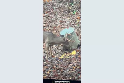 66376 Old Shurtz Road, New Plymouth, OH 45654 - Photo 21